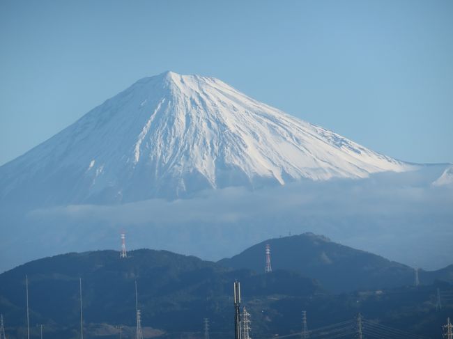 あけましておめでとうございます。<br />今年もよろしくお願いします。<br /><br />今年2020年も、初詣を3日に延期し、元旦と2日を静岡の動物園2園を満喫しました。<br />ただ、去年2019年の旅行記が、7月のベラルーシとモスクワ旅行の日別詳細版ほぼまるごとと、12月の国内動物園3園4本分が未作成・作成中で年が明けてしまったので、続きの12月の動物絵の旅行記から完成させたいと思っています。<br />でもその前に、年明け気分として、正月3ヶ日分のミニ旅行記を作成したいと思いました!<br />元旦と2日の静岡遠征で撮った写真からごく一部ピックアップしたのと、3日の夕方に延期した初詣の際にコンデジで撮った写真でまとめたものです。<br /><br />3日の初詣も、年末に車を故障させていなければ、車で出かけて、その足で墓参りに行ったりと、もう少し行動範囲を広げ、被写体も増えたと思うのですが……逆に、自転車で出かけたからこそ、気軽に行く道筋で写真が撮れたともいえます。<br /><br />表紙は、初詣の際に神社に返納する前に祈願の目を入れただるまさんやお札の写真にしようか迷いましたが、2日に東静岡駅から見ることができた富士山にしました。<br />富士山が新年らしいモチーフっていつからそうなったんでしょうね。<br />ほんとは元旦に静岡に向かう新幹線の中で撮れた富士山の方が年明け旅行記の表紙写真として理想でしたが、あいにく元旦の朝、関東はよく晴れていたのですが、富士山が見られる三島近くを走っていた時の東海地方の空は思いっきり雲に覆われていて、富士山は全く見えませんでした。<br />でも、2日でしたが、東静岡駅舎からなら、富士山を落ち着いて撮ることができました。<br />今年もそんな風に、完璧なラッキーでなくても、前向きに考えればアンラッキーでもなく、日常を壊すようなアンラッキーには遭わず、平穏な日常が送れる年でありますように。