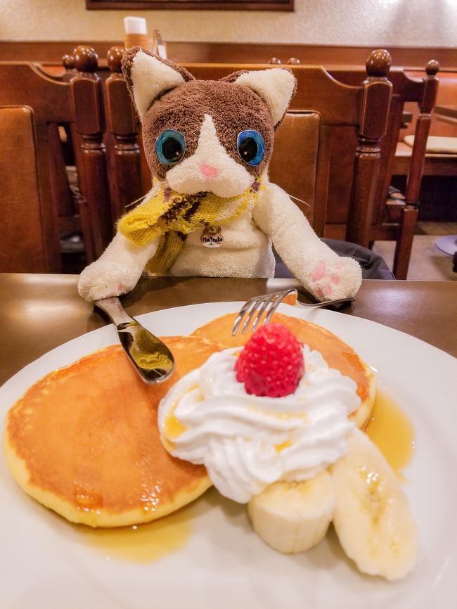 遅ればせながら、あけましておめでとうございます!<br />今年も宜しくお願い致します(^o^)/<br /><br />ここ数年<br />1月3日を旅始めの日としています(^^)<br />とは言え年明け早々からクタクタにはなりたくないので<br />近場でのんびり散歩気分で楽しめるスポットへ、ということで<br />今年は車ではしょっちゅう通るのに<br />ゆっくり歩いたことはない場所<br />博多旧市街へお出掛けしてみました。<br /><br />もちろん旅の相棒、ナツコも一緒♪<br />ほんの数時間の<br />まったりのんびりショートトリップ旅行記ですが<br />良かったらどうぞお付き合いください(^o^)/<br /><br />※新年より、HPを開設しました(≧▽≦)<br />ネコと旅する♪たびねこカンパニーの旅絵本<br />https://tabineko-company.com<br /><br />といっても開設したばかりで<br />まだなぁ~んにも情報ないけれど(笑)<br /><br />HPは現実とおとぎ話の中間のような<br />絵本みたいに旅を語る場所に<br />4トラ旅行記は旅先の行動や情報など<br />具体的な旅を語る場所に<br /><br />2つを相互リンクしながら<br />更に今年は旅スタイルも試行錯誤させながら<br />自分らしい旅と旅の綴り方を模索してみたいと思ってます。<br /><br />どんなカタチに辿り着くのか<br />まだ自分でも不明確ではありますが(^o^;)<br />良かったら是非<br />HPにも時折お立ち寄り下さいね♪