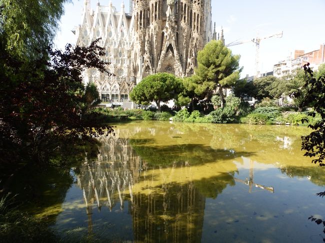 今年の夏休みはスペイン、バルセロナに行ってきました。宿泊はバルセロナ1都市。それでも見切れない、食べきれないほど楽しい街でした。また行きたいです。