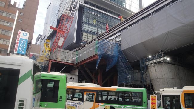 昨年お会いした都営バス元運転手から 「お正月 道路すいているから 都バスで都内をめぐるのが 面白い」と言われました。銀座線・渋谷駅も見てみたい。半日で 行くことを考慮して以下の2路線を選びました。<br /> *田87 三田ー三光坂下ー渋谷<br /> *都01 新橋ー溜池―渋谷(今回乗車したのは 溜池―渋谷)<br />なお、渋谷駅編は 別と 作成します。<br />