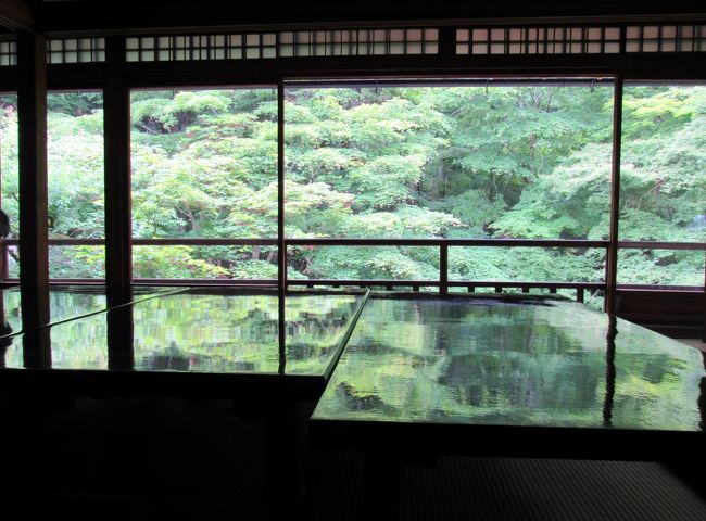 回顧録 3年前の旅行記です。<br /><br />娘の暮らす大阪へ始めて旅行しました。<br />1人で暮らす大阪は、環境も言葉も違って寂しかったり辛かったでしょう。頑張り屋の娘は、親に心配をかけないようにと逞しく暮らしています。<br />この時期は大阪も過ごしやすいそうです。<br />娘と2人で過ごすのは、大学生以来~本当に久しぶりです。<br />初日は、アクアライナーに乗って大阪を観光しました。夜はライトアップされた大阪城や大阪中央公会堂を散策しました。<br />2日目は 長年の希望だった松下幸之助ミュージアムを見学して、その後京都へ移動して観光しました。<br />3日目は 京都の瑠璃寺を見てのんびり京都散策をしました。<br />娘と楽しく3日間を楽しく快適に過ごすことが出来ました。<br /><br />本願寺歴代門跡もしばしば訪れたと記録に残され、明治の元勲三条実美公は、当時の庵に「喜鶴亭」と名づけて直筆の命名額を下されています(瑠璃光院に現存)。<br />その後、大正末から昭和の初めにかけて、12,000坪の敷地に延べ240坪の数奇屋造りに大改築するとともに、自然を借景とした名庭を造営。建築にあたった棟梁は、京数寄屋造りの名人と称された中村外二、築庭は佐野藤右衛門一統の作と伝えられます。<br />その後現在まで、日本情緒あふれる名建築・名庭として多くの人々に親しまれ、<br />囲碁本因坊位の対戦場となったことなどが知られています。<br />