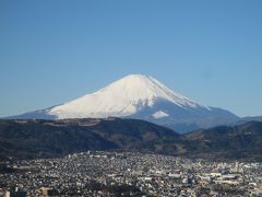 富士山を拝んで、新年を迎えたことを実感する