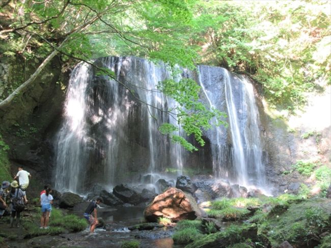 夏やすもも後半になった休日のこの日は、家族で福島県へ。午前中に五色沼の散策コースを歩いた後、午後から立澤不動滝を見学し最後に中ノ沢温泉に入って帰りました。立澤不動滝は母成峠の途中にあり、今は母成グリーンラインがありますが、当時の母成峠は自然の要害と言われていた場所で、立澤不動尊の脇を抜ける山道だったようです。戊辰戦争では会津潘にとって多少想定外であったこの母成峠に新政府軍の主力が押し寄せたことで、一日で領内に侵攻されてしまうという結果になった場所です。今は戊辰戦争の面影は殆どなく、母成峠に記念碑が建っていたり、土塁の後が残っている程度です。白虎隊が自刃した飯森山が沢山の観光客で賑わっているのとは対照的な静かな場所です。今の立澤不動滝は猪苗代を代表するパワースポットになっています。