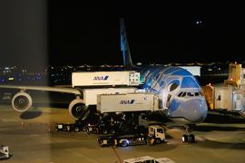 【2019海外】土日でハワイに行ってみた。#01 ～往路編 A380フライングホヌ 1号機「ラニ -Lani-」～