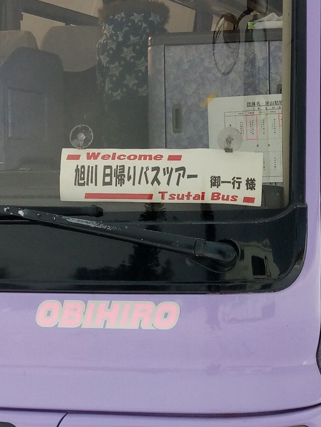 2020年明けましておめでとうございます。<br /><br />帰省の娘さんと地元のバス会社の日帰りバスツアーに<br />4名で参加してきました。<br /><br />『新春企画 旭山動物園へ行こう!』<br /><br />バスは朝7時出発のため、家を6時頃に出発し途中のコンビニで朝ご飯を調達。<br />セコマの大きいおにぎりは美味しいのです^^<br />ツアー参加人数は15名ほど、中型のバス。紫色でわかりやすい~^^<br /><br />南富良野の道の駅でトイレ休憩1回。<br /><br />11時頃あさひかわラーメン村到着~各自昼食を。<br />わたし達は、『山頭火』へ。 <br />醤油ラーメン、辛みそラーメン、とろ肉ラーメン塩、わたしは塩ラーメンを食べました。<br />お水はセルフサービスでソフトドリンクも飲み放題^^<br />以前帯広でもお店がありましたが、無くなってもう十数年経ちます、、<br />美味しいラーメンを頂いて、バスの時間までトイレを済まそうと、施設をぐるり~<br /><br />面白い、『ラーメン村神社』を発見!<br />参拝の仕方は、ふたりで…とのこと。恋愛成就系です^^<br />仕掛けがとても凝っていました。<br /><br />他に買い物施設は点在し、時間はいくらでもつぶせますが、買うものが無い(笑)<br />ほどなくして、バスが集合時間に到着し、同行者を乗せ、旭山動物園へ向かいます。<br /><br />動物園到着時の空模様は晴れていましたが、ペンギンの散歩が始まる頃に吹雪になり、<br />持っていたウルトラダウンコートを着込みました。<br /><br />東門から展示動物を見ていきました。<br /><br />ホッキョクグマのもぐもぐタイムの前に、見たかった「カバ館」を。<br />大きなカバが1頭、深いプールに潜ったり、<br />水面に顔を出し、ダイナミックに大きく口を開けて見ごたえ満点でした。<br />プールの上からと下の水中の様子が良く見えました。<br /><br />ホッキョクグマのもぐもぐタイムは並びましたが、順序良く案内され、<br />プールの中を餌を追いかけて泳ぐ様子が良く見られました。<br /><br />ペンギンの散歩はスタート時間前から場所取りが始まっていました。<br />早めに、、と、思っていましたが2列目。 <br />場所によって、また日によってペンギンの様子は違います。<br />この日は、キングペンギンのヒナは散歩に行かずお母さんペンギンは居残り、<br />散歩に出かけたお父さんペンギンも呼び戻さるハプニングにも遭遇^^<br />「キングペンギンのヒナをご覧になりたい方は、この後展示室で見てください。」と、<br />飼育係のお姉さんから案内がありました。<br /><br />時間を気にしながら、バスの集合場所へ。<br /><br />ツアー一行、バスに乗り込むと、次に向かうは、<br />お菓子屋さん『The Sun 蔵人』へ。<br />有名なお菓子屋さんらしく、わたし達のバスの出発までに<br />大型バスが次々と入ってきました。<br /><br />帰り足には薄暗くなり、帯広の出発地に戻ったのは20時過ぎ。<br /><br />少し遅い夕飯には、スープカレーをたべました。<br />ホームセンターの敷地内の「BELIEVE」。<br />スパイスで体が温まりました。<br /><br />とても長い1日になりました。<br /><br />個人で行くこともできますが、運転する家族に負担をかけるよりは、<br />時には、地元のバスツアーを利用して遊びにいくのも、アリですね。。(^O^)/<br /><br />バス会社様に感謝です。<br /><br /><br />