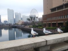 年末、横浜に一泊。