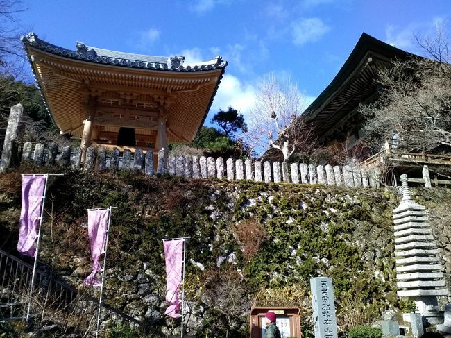 今年の年末年始も故郷・大分県国東市に息子家族と車で帰省しました。<br />今年の年末年始はカレンダーの日程がとても良くて12/8(土)より休暇に入り29日から3日迄田舎でゆっくり<br />新年を迎える事が出来ました<br />2020年の初詣も10Kmウォークで六郷満山仏の里・両子寺に10Kmを徒歩で家族五人で参拝しました<br />快晴のお天気に恵まれ心地よく約三時間かけて到着しました。<br />両子寺は昨年末に鐘楼が建替えられてとても建物も鐘も綺麗になっていましたが一年間は鐘突きが出来ないとのことで<br />残念ながら鳴らすことは出来ませんでした<br />無病息災・家内安全を祈願し参拝を終えました<br />今年も無事一年が健康で楽しく過ごせる様に勤めて参りたいと思います