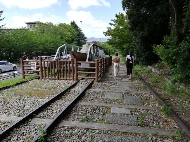 「市バスで京都を歩く」シリーズ。京都市の数多い路線バスでこれまた数多い見どころやグルメをレポートします。<br />※仕事の合間を縫って作成しているため、記事や写真は複数日にまたがっている場合があります。ご了承ください。<br /><br />★京都市を走る路線バス<br />（１）京都市営バス<br />最も主要な京都市内の交通機関。運賃230円均一の「均一系統路線」（系統番号が青地に白字で表示される。観光地を循環する100番台の楽バスも含む）、元京都市電の路線を引き継いだ「循環系統路線」（系統番号が橙地に白字で表示。201～208までのバス）、均一区間の外側を走り運賃が段階的に変わる「調整系統路線」（系統番号が白地に黒字で表示）などが運行される。<br />（２）京都バス<br />主に大原・貴船・鞍馬方面と嵐山・苔寺方面へ運行。市バスが運行されていないエリアをカバー。観光地が多いので年中混んでいる。<br />（３）京阪バス<br />主に京阪電鉄沿線で運行されている。京都市では山科区醍醐方面を網羅している。<br />（４）ＪＲバス<br />ＪＲが経営するバス路線。京都駅と高尾･周山を結ぶ路線がある。<br />（５）京阪京都交通<br />京都府南丹地区、向日市などで運行されており、京都駅と西京区を結ぶ路線がある。<br />（６）阪急バス<br />主に阪急沿線で運行されている。京都市では向日市と洛西ニュータウンを結ぶ路線がある。<br />（７）その他<br />プリンセスライン、ヤサカバス、京都らくなんエクスプレス、近鉄バス、京北ふるさとバスなどがエリア限定で運行されている。<br /><br />★路線バスで京都を歩く<br /><br />市バス京都岡崎ループ号系統で、疎水記念館＆インクライン＆知恩院<br />https://4travel.jp/travelogue/11585374<br />市バス3号系統で、壬生寺&amp;仙堂御所＆北白川仕伏町<br />https://4travel.jp/travelogue/11541933<br />市バス4号系統で、北山＆IN THE GREEN＆深泥池＆上賀茂神社＆大田神社のカキツバタ<br />https://4travel.jp/travelogue/11535778<br />市バス8号系統で高雄・高山寺<br />https://4travel.jp/travelogue/11581199<br />市バス29号系統で、鈴虫寺＆松尾大社<br />https://4travel.jp/travelogue/11584666<br />市バス33号系統で、桂離宮<br />https://4travel.jp/travelogue/11540307<br />市バス46号系統で、今宮神社＆あぶり餅<br />https://4travel.jp/travelogue/11538678<br />市バス69号＆西8号系統で、京都市洛西竹林公園＆ラクセーヌ<br />https://4travel.jp/travelogue/11583529<br />市バス北8号系統で、修学院離宮&amp;妙法＆北ル・アンジェ教会<br />https://4travel.jp/travelogue/11541367<br />市バス南1号系統で、城南宮＆パルスプラザ<br />https://4travel.jp/travelogue/11582535