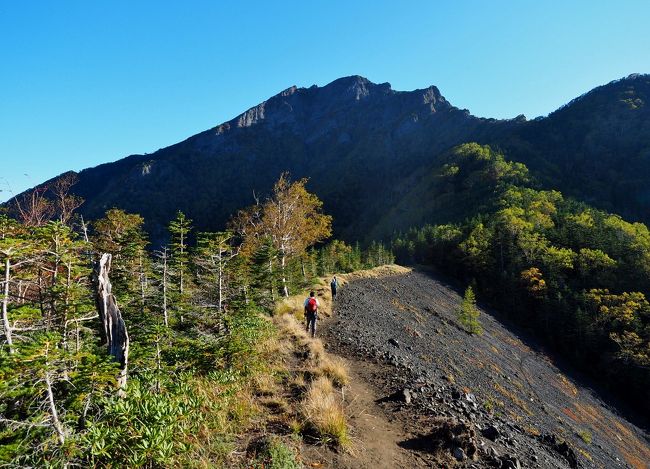 山岳会の方々と初心者向けのバリエーションルートということで阿弥陀南稜、中央稜を歩いてきました。<br /><br />南稜は初級の冬期バリエーションルート、バリエーションルートというものの踏み跡ばっちり、道迷いしようのないルートです。<br />核心部はP3のルンゼ取り付きでしょうか、ルンゼ下部に回り込む箇所が冬期は嫌らしいかもしれません。<br />そこさえこなせば黒戸のルンゼを凍らせたイメージでしょう、しっかりアイゼンやピック効かせれば問題無さげのように思えました。<br />RFは降った中央稜のタオルがぶら下がっているところが要注意、まんまと直進してしまい山岳会のリーダーさんもにんまりです(笑)。<br />10月末の谷川東尾根はどんなもんなのでしょか、リーダーさんに勧められ今日クライミングシューズ買うのですが今から楽しみです。<br /><br />南稜は変化に富んでおり、歩いていて飽きませんでした。<br />立場山辺りのしっとりしたシラビソの樹林帯、青ナギ越しの南稜従えた阿弥陀岳、次々現れる巨岩、権現の背後に富士山、北岳、甲斐駒ケ岳、仙丈ケ岳…そして何よりも彩豊かな樹々。