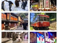 2019年の旅の振り返りと今年の予定