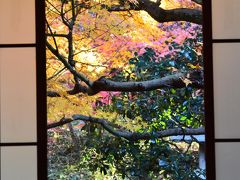 チャリで巡る紅葉狩り　　加賀百万石前田家の華族のお屋敷は絢爛豪華だった！