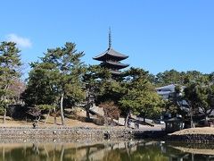 奈良１泊２日一人旅②西大寺・秋篠寺・元興寺・新薬師寺・三月堂