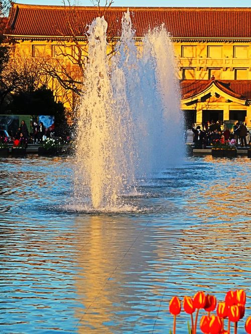 上野恩賜公園 竹の台噴水/夕日 東京国立博物館を背に ☆上野駅