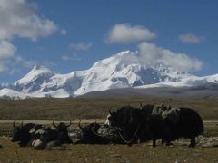 ヒマラヤ山脈　北面　大展望　２０１３年９月  ラサ・ｵｰﾙﾄﾞﾃｨﾝﾘｰ編