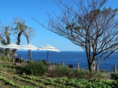 湯河原温泉のんびり１人旅（1）～伊豆・城ヶ崎海岸を歩きました