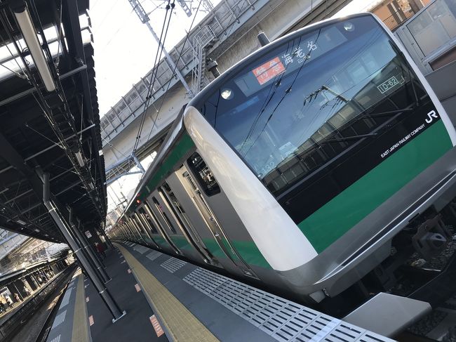 <祝 JR・相鉄直通線開業！ !>  JR・相鉄直通線に乗って「羽沢横浜国大駅」へ行ってきた。
