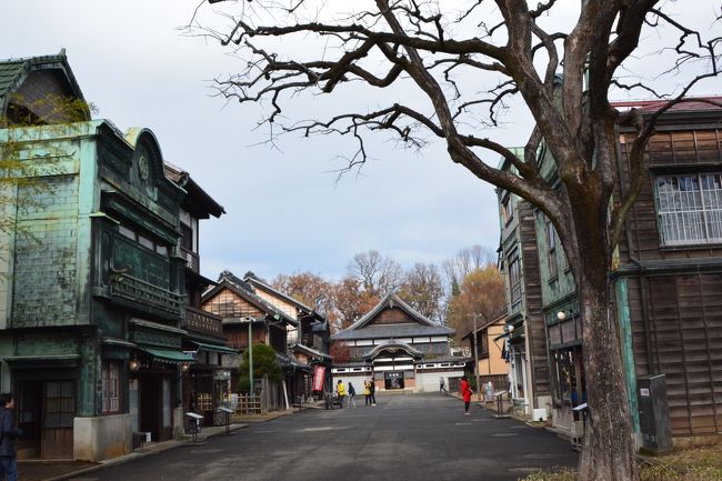 古い建物が大好きな私のお気に入りの場所の一つが、小金井にある江戸東京たてもの園。<br />東京の街は江戸の昔から、大火や水害・震災・戦災などによって、数多くの歴史的建造物が失われてきました。<br />「江戸東京たてもの園」は、現地保存が不可能な文化的価値の高い歴史的建造物を移築し、復元・保存・展示し貴重な文化遺産として次代に継承することを目指して造られた屋外型の建物博物館なんです。<br />西に行くと明治村がありますが、明治村の関東版といったところでしょうか。<br />入館料は明治村と違って400円とリーズナブル。<br />私は古い建て、もの大好きなんでここに来ると1日楽しめます。<br />今回は久しぶりに購入したぐるっとパスを使って見てきましたが、残念なことにここで一番お気に入りの前川國男邸が耐震補強工事のため見ることができませんでした。<br />