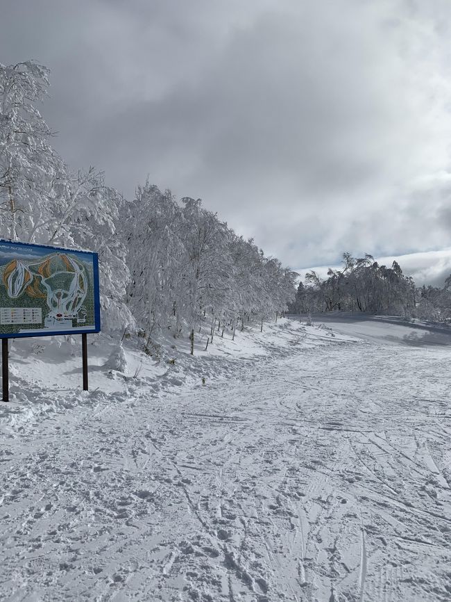 2020年の初滑りはカムイスキーリンクスへ!<br />今年の北海道は雪が少なくて、1月に入ってもオープンできないスキー場が何か所もあるそうです。<br />カムイリンクスはオープンしていましたが、閉鎖されたコースが何か所もありました。<br />それでも天気、ゲレンデ状態はともに良好!<br />初滑りを楽しむことができました?