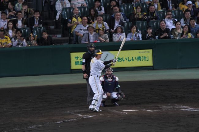 昨年も阪神甲子園球場に<br />野球観戦行ったよ<br />TVで観るより良いよね