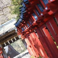 【1日目】叡山電車に乗るぞ！年始の京都の旅