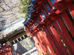 【1日目】叡山電車に乗るぞ！年始の京都の旅