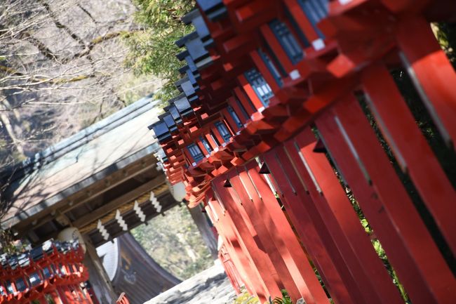 2019年3月9日(土)~3月10日(日)で京都へ行きました。<br /><br />少し遅めの初詣を兼ねて。<br /><br />詳細はWebで。<br /><br />「叡山電車に乗るぞ!年始の京都の旅」で検索。カチッ。