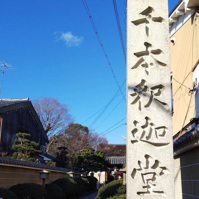 毎年恒例となりましたが、成人の日の三連休に京都を旅行してきました。<br />二日目には滋賀にも足を伸ばしました!<br />素敵な寺社を拝観して、素敵な旅となりました。<br />その記録です。