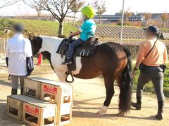 茨城・ネーブルパークの菊まつりと道の駅さかい2019②～ネーブルパークと道の駅編～