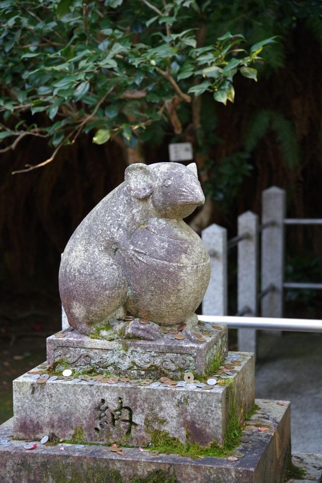 1月8日の夕刊に、以下の記事があり、さっそく行ってみることにしました。<br />「今年はねずみ年。京都・哲学の道の近くにたたずむ大豊神社には、こま犬ならぬこまねずみがいる。」<br /><br />※写真はこまねずみ。