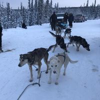 初めてのアラスカオーロラ旅行　2019年12月30 日