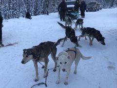 初めてのアラスカオーロラ旅行　2019年12月30 日