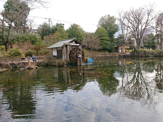 　渋谷の真中に公園発見！奇麗な湧水の素晴らしい公園でした。元々江戸時代には紀州徳川家の下屋敷があったところだそうです。その後、佐賀の鍋島家に払い下げられた。鍋島家は茶園を開いて「松濤園」と名付け、「松濤」という名で茶の販売も行っていたそうです。