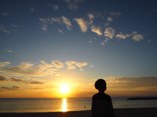 ６月末に行った沖縄旅行がまさかの全日雨！あまりにも残念だったのでリベンジ旅行です。<br />前半は本島中部、後半は南部へ行きました。