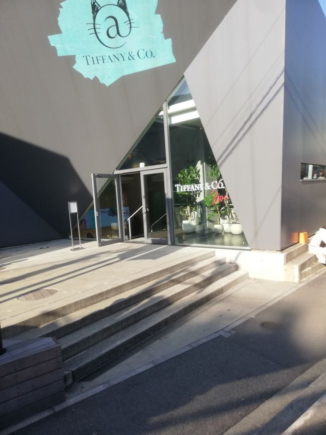 変わりゆく渋谷からキャットストリートを抜ければそこは表参道… ロハス通り… 青山通り…