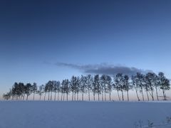 冬の北海道鉄道旅と居酒屋巡り4-3(根室本線、美瑛、旭川)