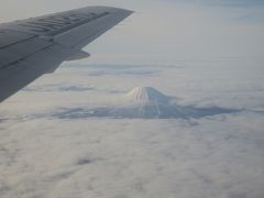 2020.Jan 札幌丘珠空港から函館空港、飛行機に乗りたくて出かけました