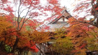 京都紅葉八景（5）神護寺と清滝川沿い