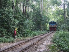 世界の車窓からを目指してinもう一回行きたくなる国、バングラデシュ６（スリモンゴル２）