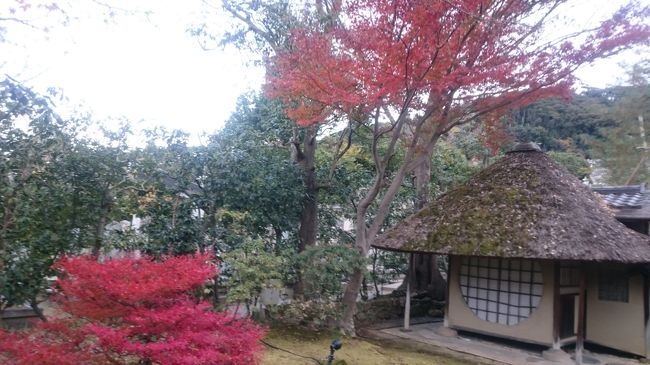 昨年の京都の紅葉は、いつもより少し遅かったらしく、12月上旬でも紅葉が見ごろでした。<br />そのおかげでしょうか。<br />京都市内は物凄い人・人・人…。<br />田舎者の私は人混みに酔いそうでした。<br />ホテルは京都のお隣、滋賀県大津市のホテルにしました。<br />京都市内のホテルはどこも値段が高いので、宿泊費を抑えたい人にはお勧めです。<br />ちなみに京都駅から大津駅までは電車で約20分。<br />1時間に何本も電車が出てます。