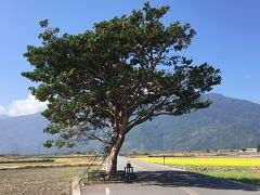 ちょっとマイナー？台東 女一人旅１【台北経由の道のり＆のどかな池上編】