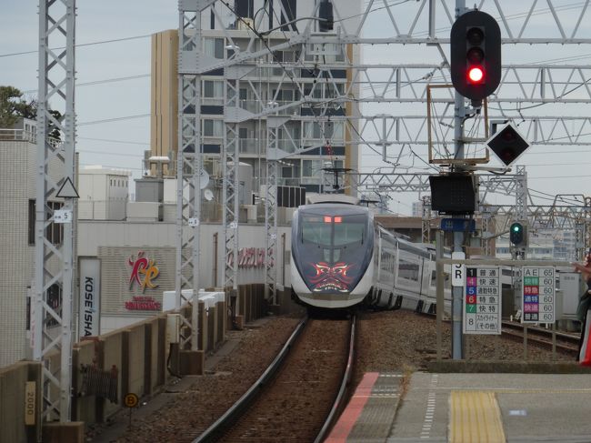 去る12月29日に千葉市へ行きましたが、多くの施設が閉まっていたので、1月11日(土)に再訪しました。<br />お寺の千葉寺、千葉県立中央博物館、千葉市郷土博物館(千葉城、亥鼻城)、千葉神社、千葉県立美術館、千葉港等を巡りました。<br />県立中央博物館は盛りだくさんの展示で、すごいな。ただものではなかった。<br />千葉寺と千葉神社はミステリアスなものを感じました。<br />千葉市稲毛区の銭湯松の湯で温まり、京成稲毛駅より帰途に就きました。