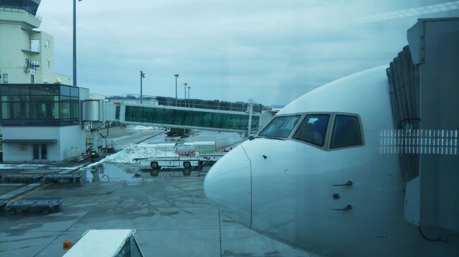 羽田空港 函館空港 Jal特典航空券 函館 北海道 の旅行記 ブログ By Hirotanさん フォートラベル