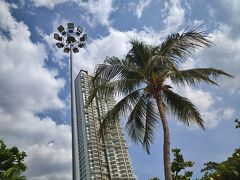 2020 01 　2020へ向けて放電タイ（５）最後です。