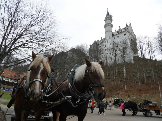 旅行会社のツアーにてドイツ＆フランスのクリスマスを巡ってきました。６つの街のマーケットを訪問しましたが、街や時間帯によって、クリスマスマーケットの雰囲気は全然違うので、飽きることなく楽しめました。<br /><br />◯１日目 成田→ミュンヘン<br />◯２日目 ミュンヘンのクリスマスマーケット<br />● ヴィース教会<br />●３日目 ノイシュバンシュタイン城<br />◯ ローデンブルクのクリスマスマーケット<br />◯４日目 シュトゥットガルトのクリスマスマーケット<br />◯ ストラスブールのクリスマスマーケット<br />◯５日目 ランスのクリスマスマーケット<br />◯６日目 パリ<br />７日目 パリ→成田<br /><br />南ドイツのハイライト、世界遺産ヴィース教会、ノイシュバンシュタイン城をめぐりました。近郊の街であるフュッセンに宿泊しましたが、日曜のため、お店は閉店している所が多くて、さまよいました。ノイシュバンシュタイン城はかなり馬のイメージになりました。