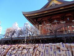 初詣は合格祈願！湯島天神☆亀戸天神・猿江神社で御朱印巡り