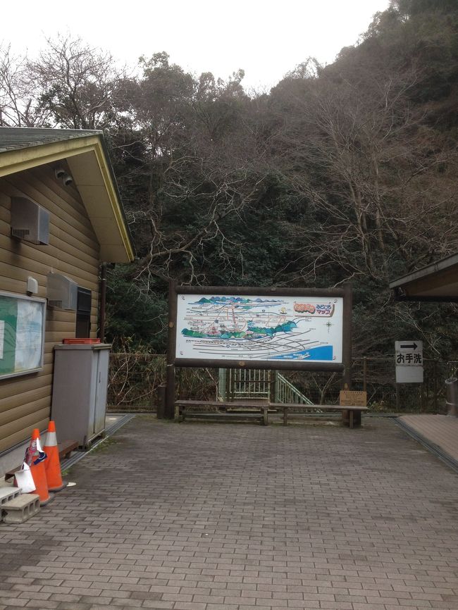 3ヶ月ぶりの岩出市に。やはり一番落ち着く空間でした。空いてます。