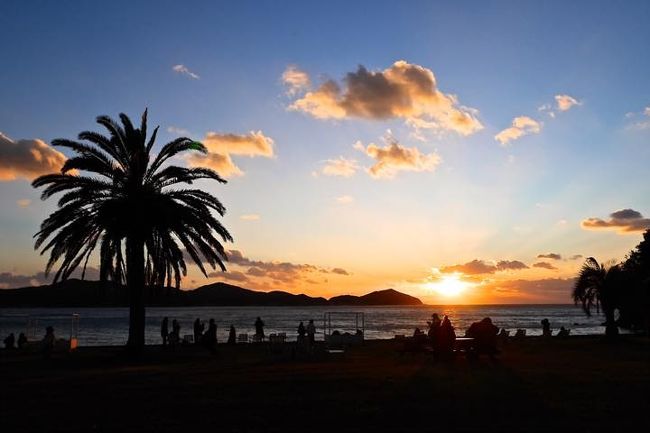 2019年冬休旅行1～2日目:伊勢神宮＆鳥羽水族館＆なばなの里＆神戸居留地：梅の花＆実家でスポーツ＆USJ：8泊10日：家族＆じいじ＆姉夫婦