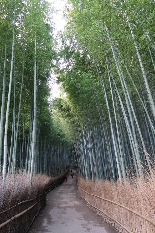 京都街歩き、2日目の記録です<br /><br />使用カメラ:Canon Power Shot G7X Mark II