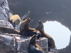 バジェスタス諸島