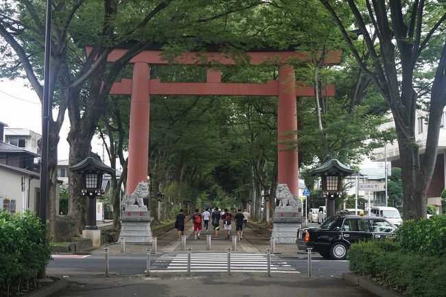 夏の18切符を利用して、8県1都周って来ました。<br />画像は、氷川神社参道にてです。